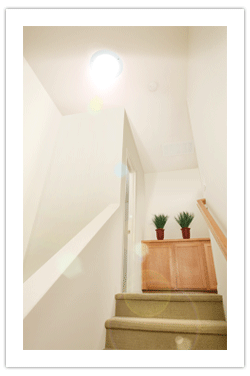 skylights for stairwell
