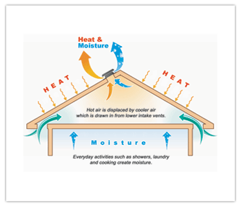 Roof Ventilation Heat Moisture