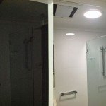 Home Bathroom Skylights