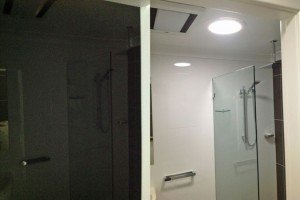 Home Bathroom Skylights