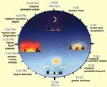 Daylight Body Clock