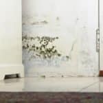 Mold or Mould Stains on Damp Wall and Door behind Cabinet due to condensation caused by lack of ventilation.